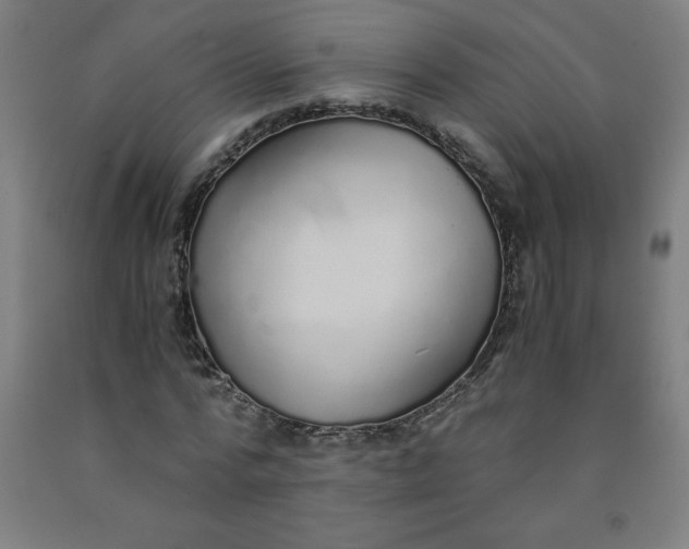 X0000091860776200709261254