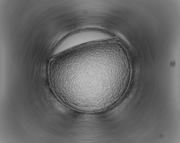 X0000091860777200709261254