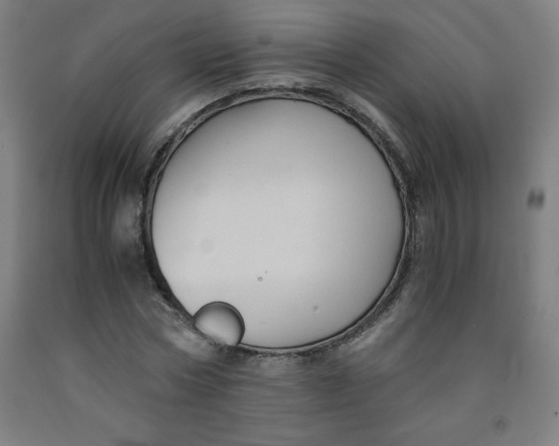 X0000091860778200709261254