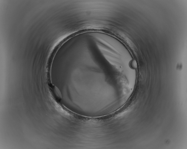 X0000091860779200709261254