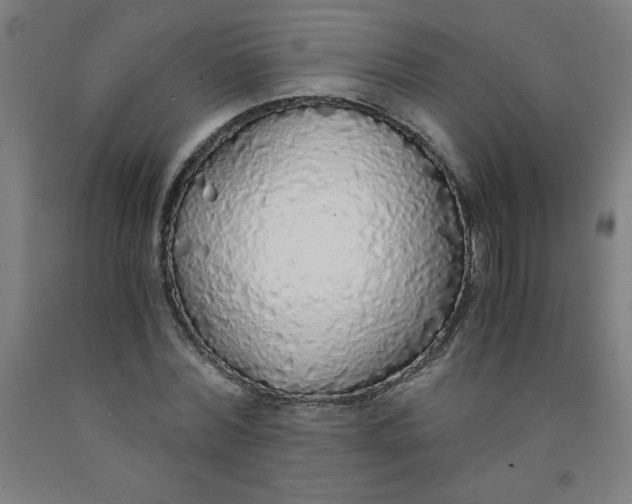 X0000091860780200709261254