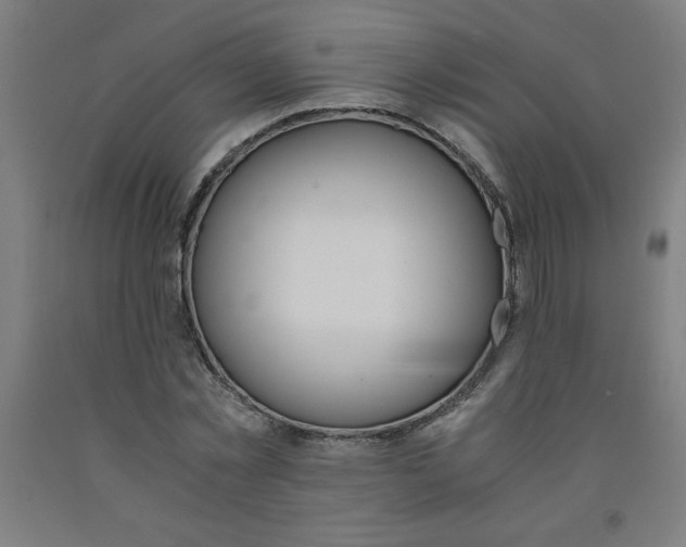 X0000091860781200709261253