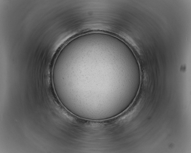 X0000091860782200709261253