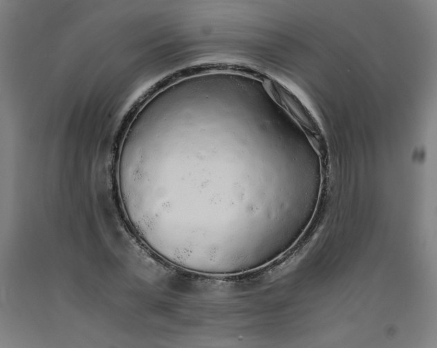 X0000091860783200709261253