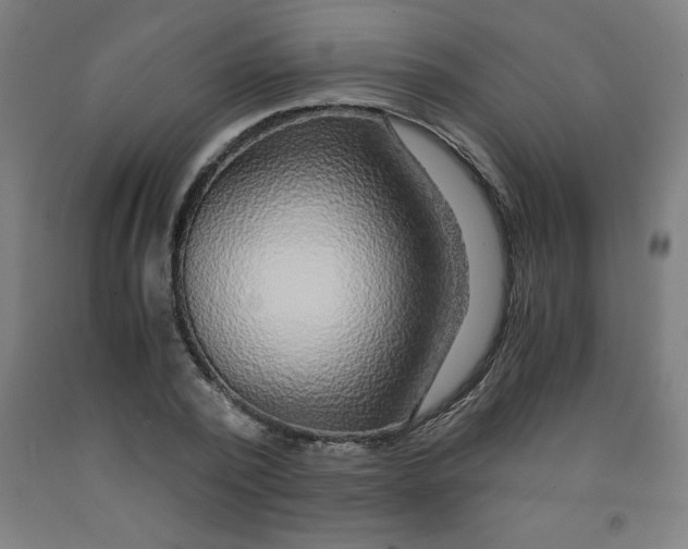 X0000091860784200709261253