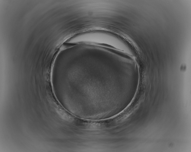 X0000091860785200709261253