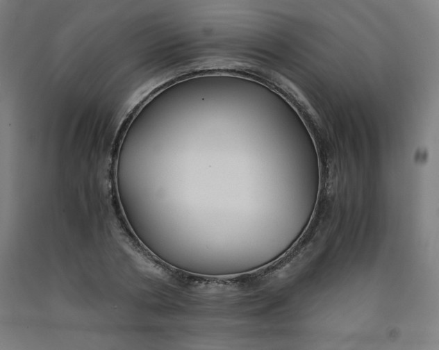 X0000091860786200709261253