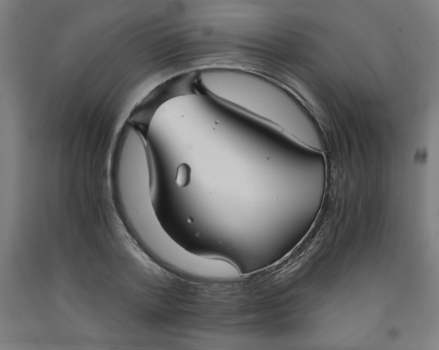 X0000091860788200709261253