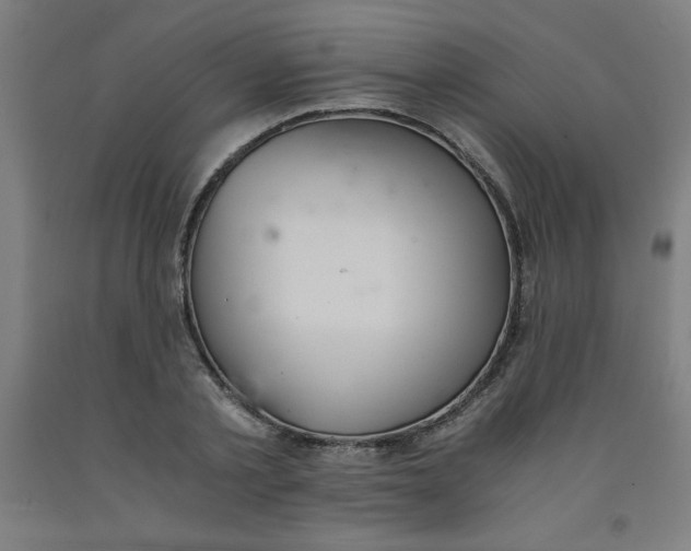 X0000091860789200709261253