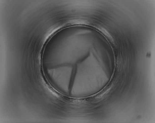 X0000091860790200709261253