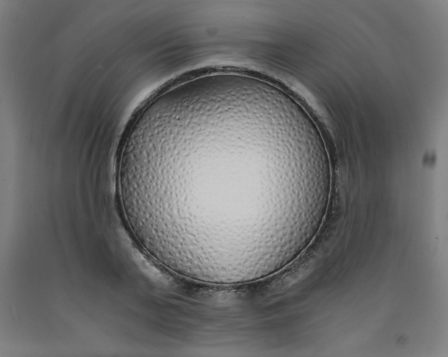 X0000091860791200709261253