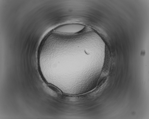 X0000091860792200709261253