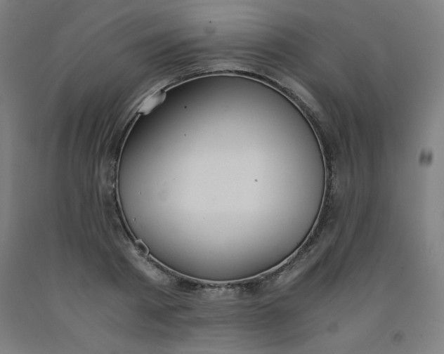 X0000091860793200709261253