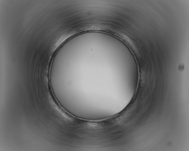 X0000091860794200709261253