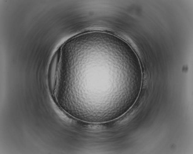 X0000091860795200709261253