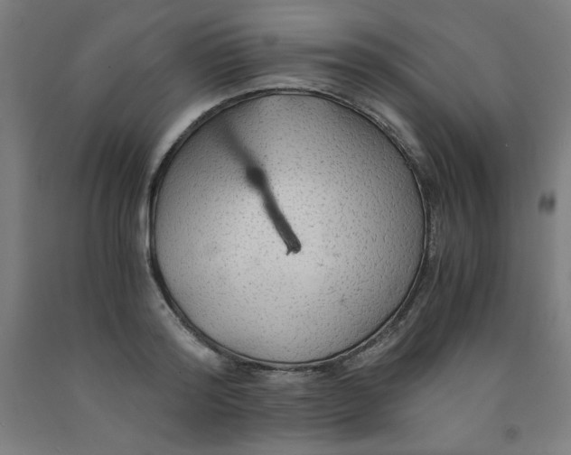 X0000091860796200709261253