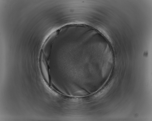 X0000091860797200709261253