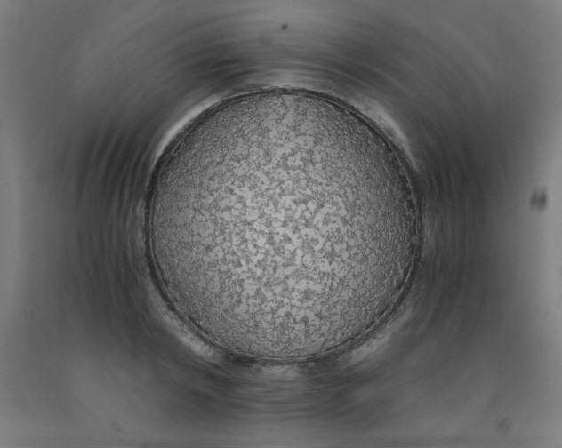 X0000091860798200709261253