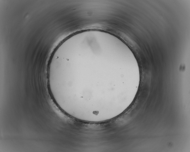 X0000091860800200709261253