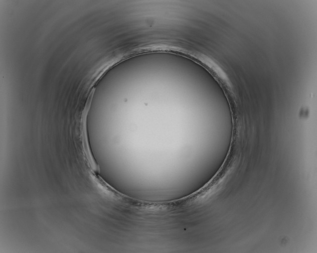 X0000091860801200709261253