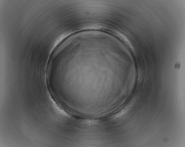 X0000091860802200709261253