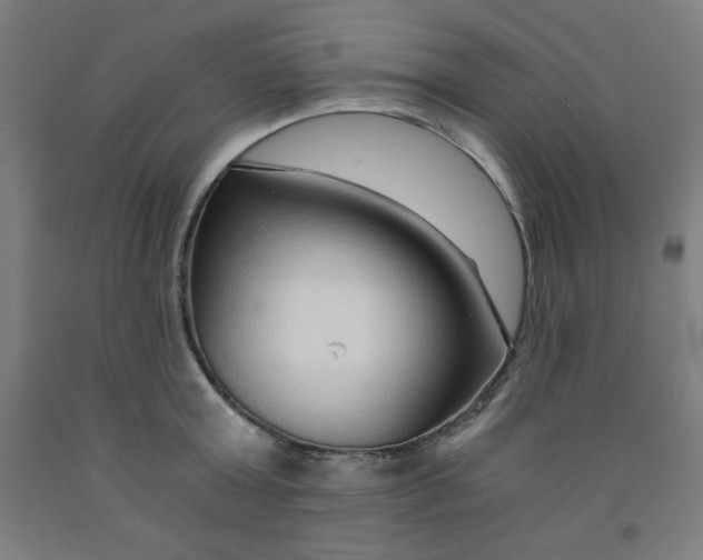 X0000091860803200709261253