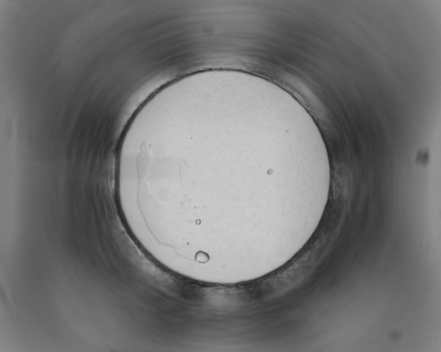 X0000091860804200709261253