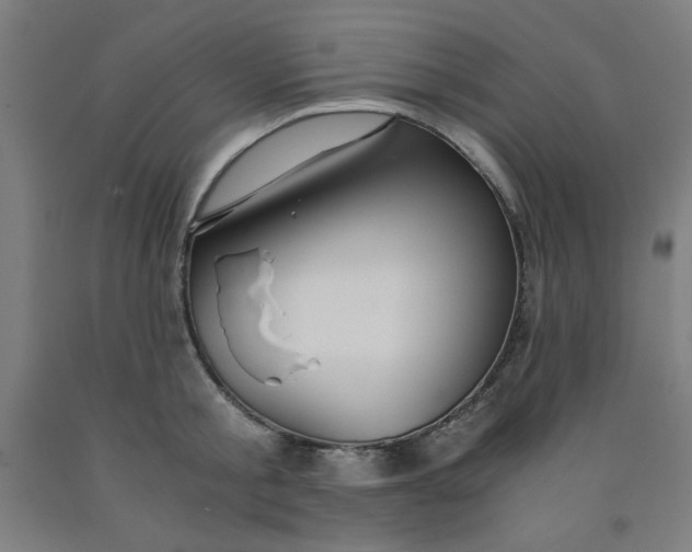 X0000091860805200709261253