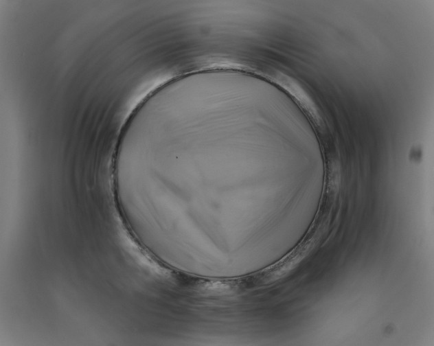 X0000091860806200709261253