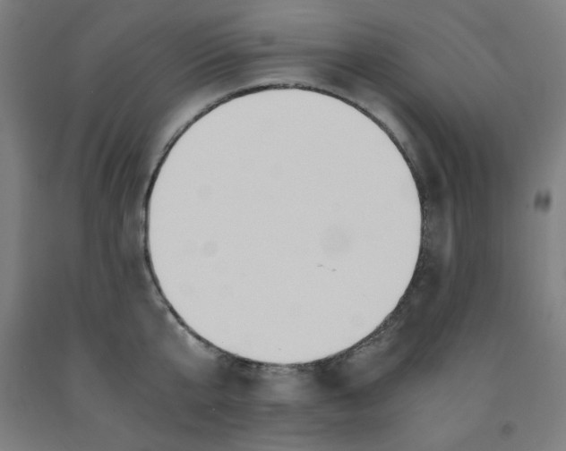 X0000091860807200709261253