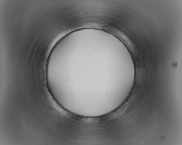 X0000091860808200709261253