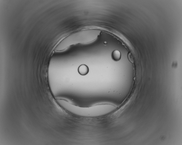 X0000091860809200709261253