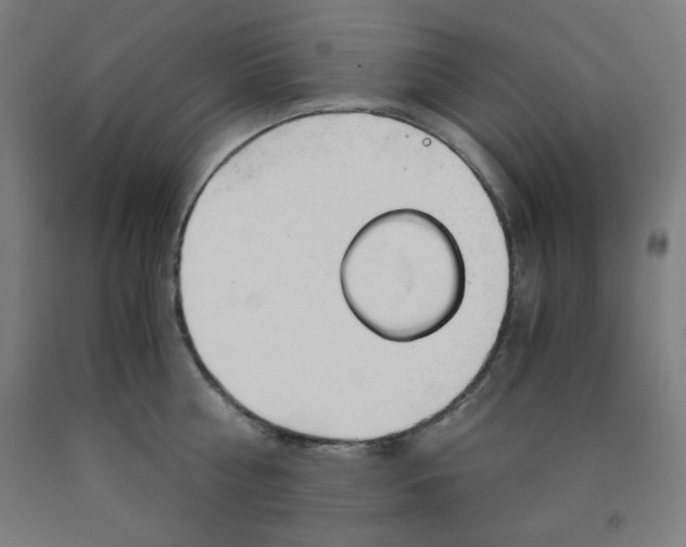 X0000091860810200709261253