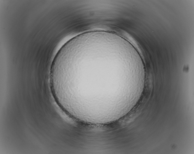 X0000091860811200709261253