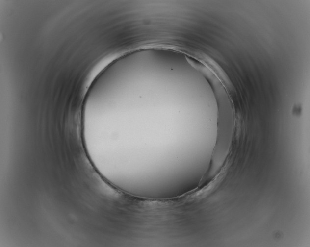 X0000091860812200709261253