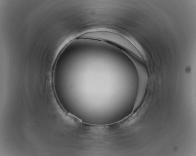 X0000091860813200709261253