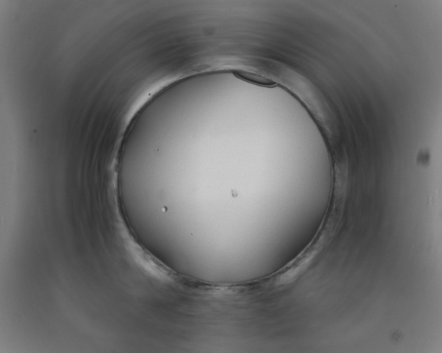 X0000091860814200709261253