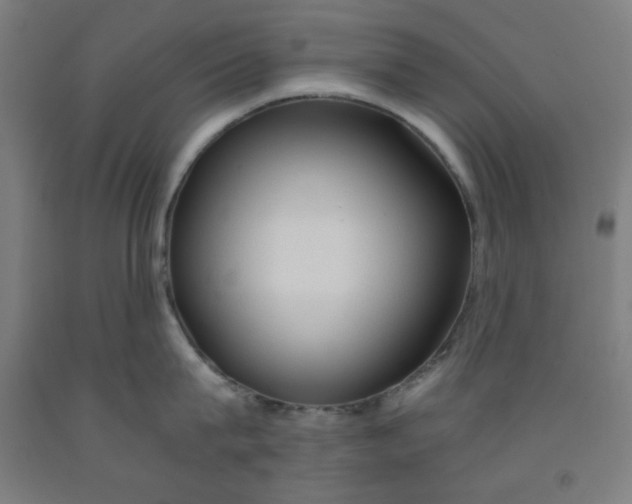 X0000091860815200709261253