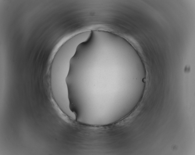 X0000091860816200709261253