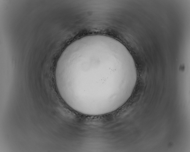 X0000091860817200709261252