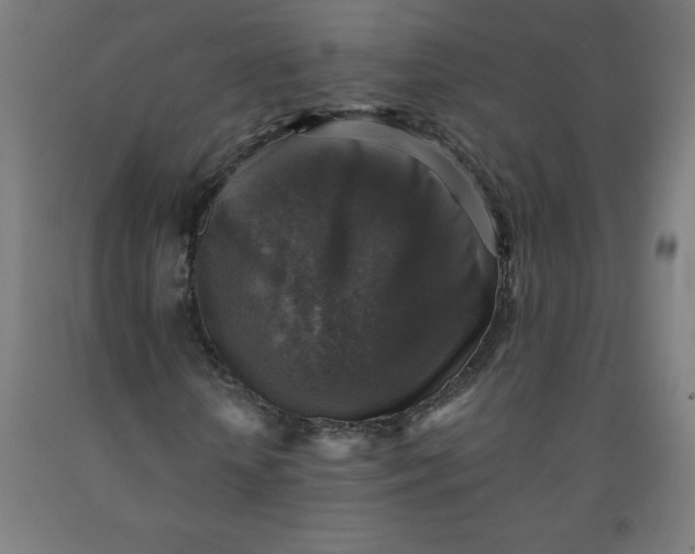 X0000091860818200709261252