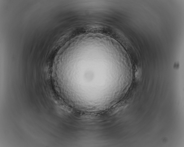 X0000091860819200709261252