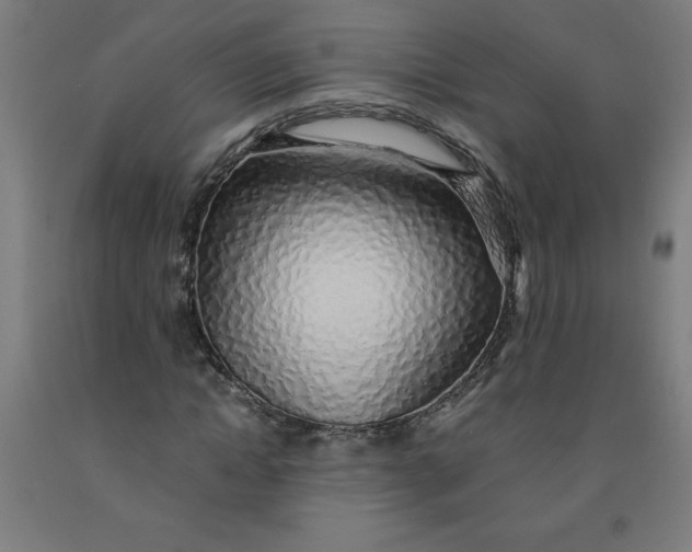 X0000091860822200709261253