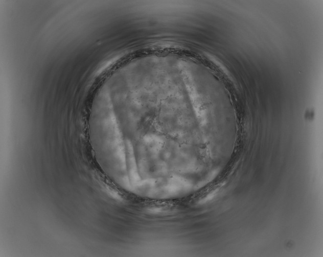 X0000091860823200709261253