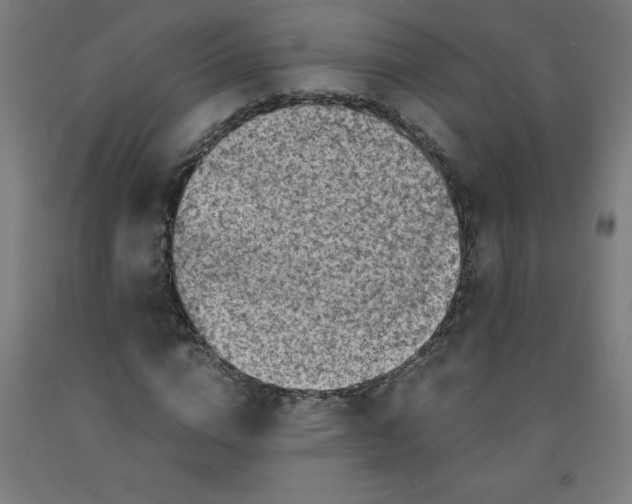 X0000091860824200709261253