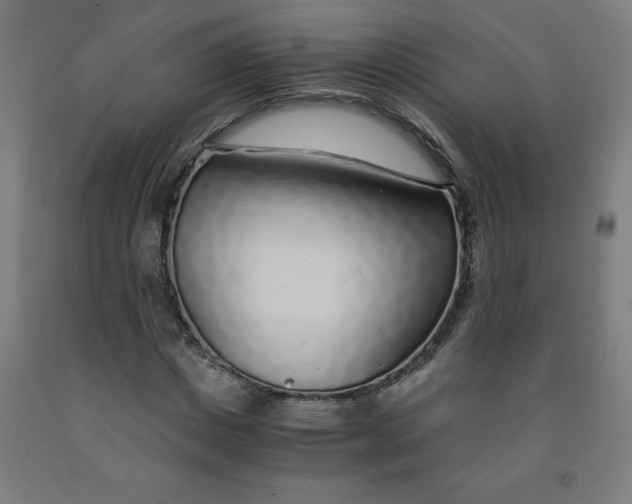 X0000091860825200709261253