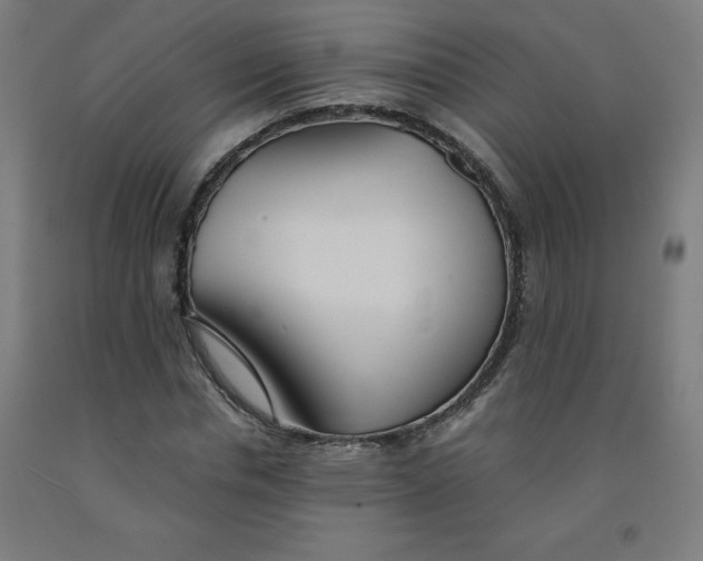 X0000091860826200709261253