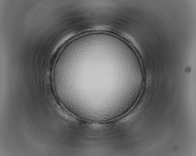 X0000091860827200709261253