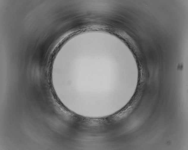 X0000091860828200709261253