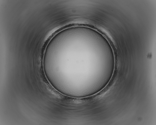 X0000091860829200709261253